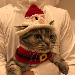 猫用ケープ サンタクロース 5枚目の画像