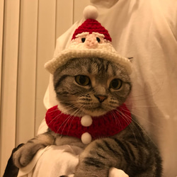 猫用ケープ クリスマス 1枚目の画像