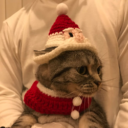 猫用ケープ クリスマス 2枚目の画像