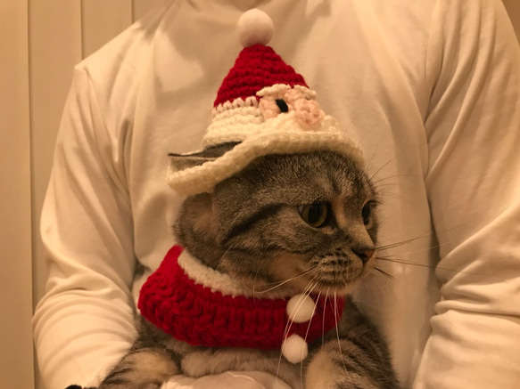 猫用ケープ クリスマス 2枚目の画像