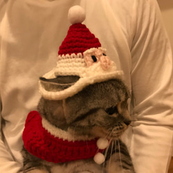 猫用ケープ クリスマス 3枚目の画像