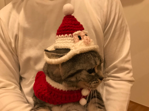 猫用ケープ クリスマス 3枚目の画像