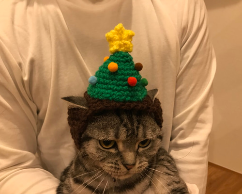 黒猫ちゃん蝶になって羽ばたきます レジンアクセサリー 黒猫