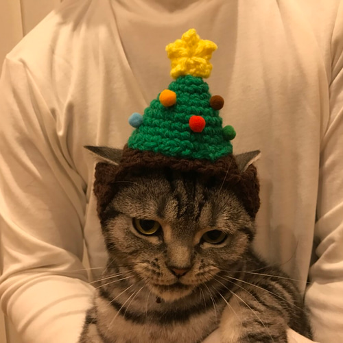 猫用帽子 クリスマスツリー ペット服・アクセサリー misato 通販