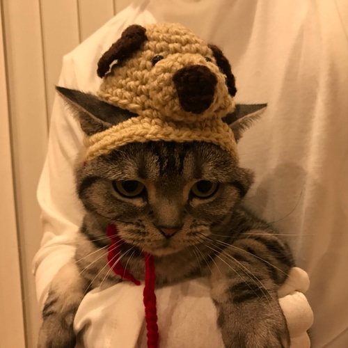 猫帽子 Amazon | XZQYDS 猫 動物 耳 ニット帽 猫の耳 かぎ針編み 帽子