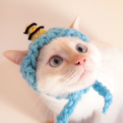 L.W.D. 猫の暮らし 首輪 サイズが変えられるシュシュカラー