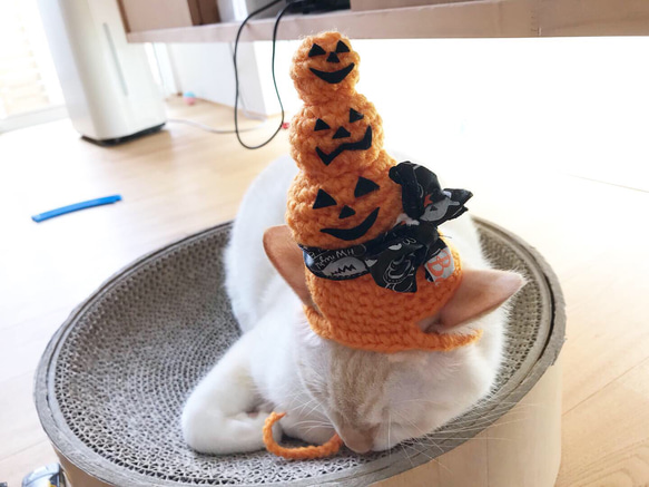 ハッピーハロウィン 2枚目の画像