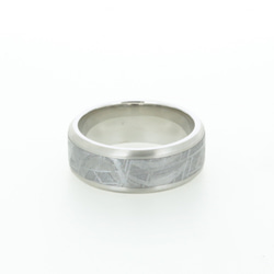 隕石 Beveled Edges Meteorite Stainless Steel Wedding Ring 1枚目の画像