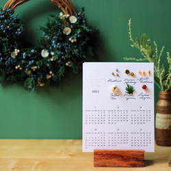 【法洛勒姆2021植物圖鑑半年曆】 2021年曆 手帳 交換禮物 聖誕節 月曆 植物圖鑑 植物標本 第1張的照片