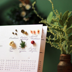 【法洛勒姆2021植物圖鑑半年曆】 2021年曆 手帳 交換禮物 聖誕節 月曆 植物圖鑑 植物標本 第4張的照片