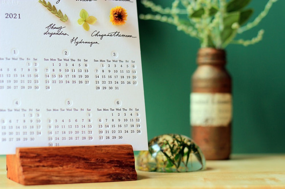 【法洛勒姆2021植物圖鑑半年曆】 2021年曆 手帳 交換禮物 聖誕節 月曆 植物圖鑑 植物標本 第5張的照片