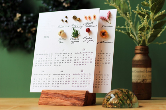【法洛勒姆2021植物圖鑑半年曆】 2021年曆 手帳 交換禮物 聖誕節 月曆 植物圖鑑 植物標本 第6張的照片
