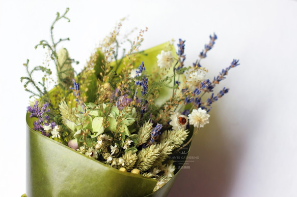 【法洛勒姆】繡球花‧紫陽花‧花環‧乾燥花‧掛飾‧花束‧春天‧清新 第2張的照片