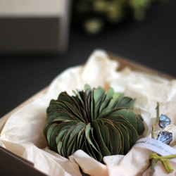 【法洛勒姆】尤加利 植物串掛 掛飾 禮盒 松果 生日禮物 第3張的照片