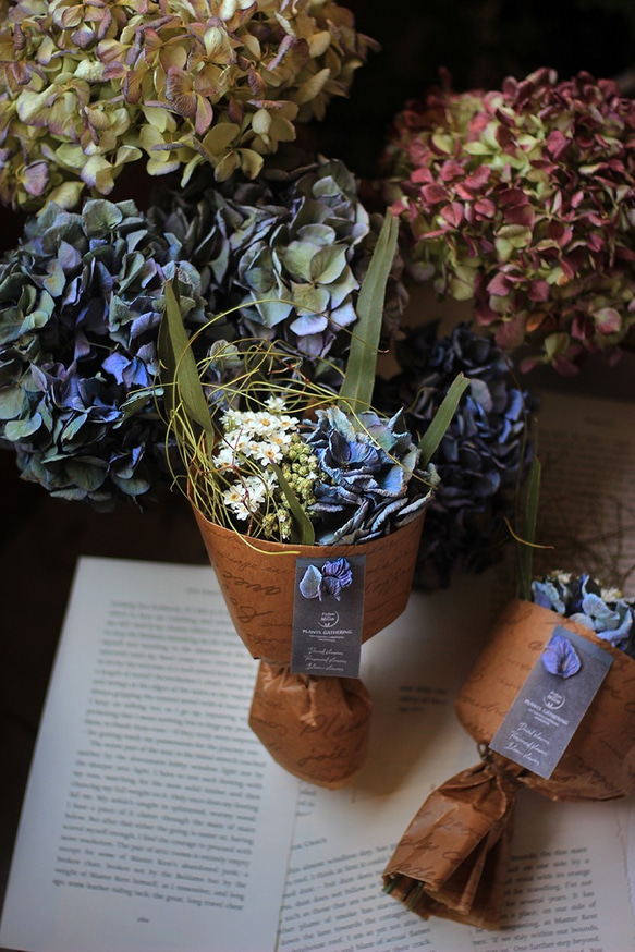 【法洛勒姆】古典 繡球花 乾燥花 花束 法國白梅 雜貨 紫陽花 尤加利 第8張的照片
