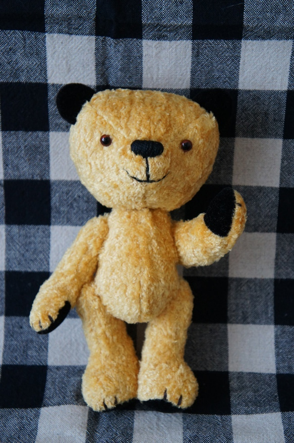 Sooty bear Sue (スーティのスー) 7枚目の画像