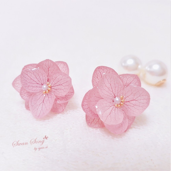 永生花♡ 小桃花 peach blossom  (耳針/耳夾) 第4張的照片