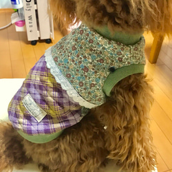 若草色＊犬服＊小型犬完成品＊bichette＊slowboat 4枚目の画像