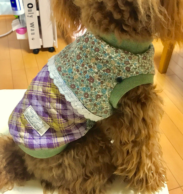 若草色＊犬服＊小型犬完成品＊bichette＊slowboat 4枚目の画像