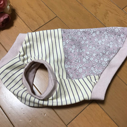 ラスト1❣️＊犬服＊Ｓサイズ完成品＊双子コーデ＊女の子＊slowboat ＊bichette 2枚目の画像