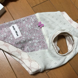 春＊犬服＊Sサイズ完成品＊slowboat 2枚目の画像