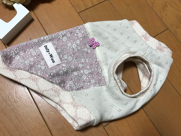 春＊犬服＊Sサイズ完成品＊slowboat 2枚目の画像