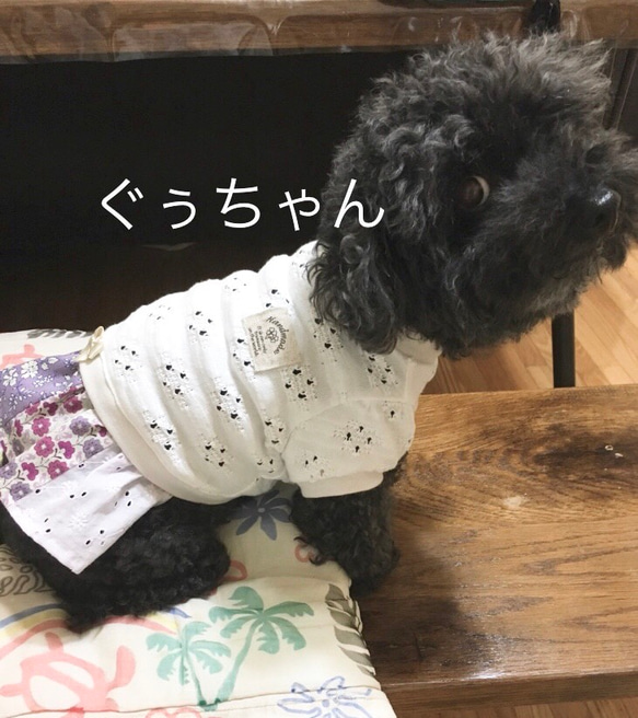 リバティ×パフ袖ワンピ＊犬服＊SS〜M＊犬服 5枚目の画像