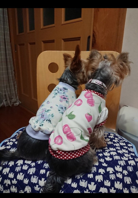 ウォーターフラワー＊犬服SS〜M＊パフ袖＊puriri ＊ 6枚目の画像