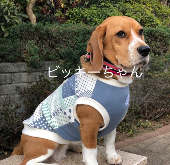 ラスト１枚‼️Sサイズ完成品＊春色パッチ＊犬服＊ハンドメイド＊puriri 2枚目の画像