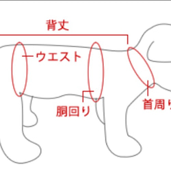 ラスト１枚＊Sサイズまで＊パープルベリー＊犬服＊ハンドメイド＊bichette 6枚目の画像