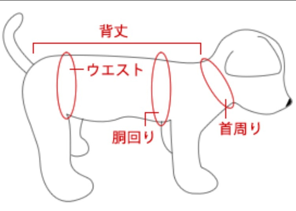 スコットチェック＊犬服＊ハンドメイド＊3S〜L＊猫の隠れ家 7枚目の画像