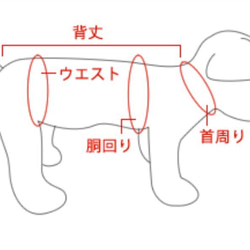 ★サンプルセール＊ピスタチオカラー＊3S完成品＊犬服＊slowboat 5枚目の画像