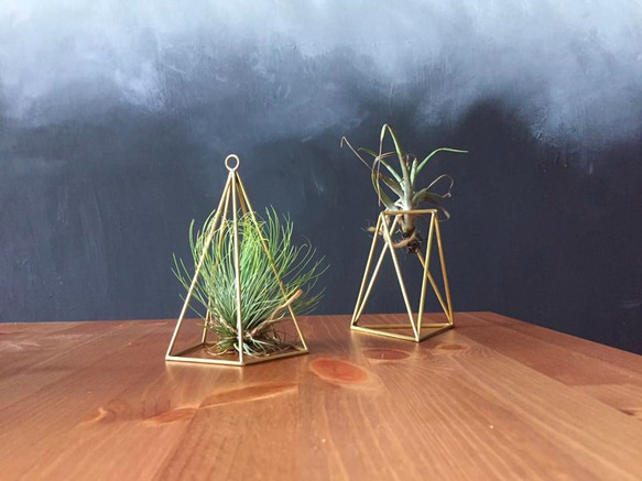 Air plant holder: pentagon (Left) / 空気植物容器：五辺形（左） 1枚目の画像