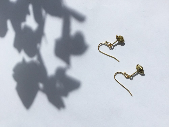 Pod Earrings / 植物園ピアス 4枚目の画像