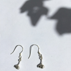 Pod Earrings / 植物園ピアス 3枚目の画像