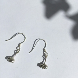 Pod Earrings / 植物園ピアス 4枚目の画像