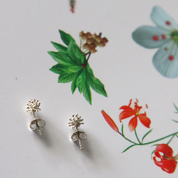 小さな植物園：朱英Danイヤリング 4枚目の画像