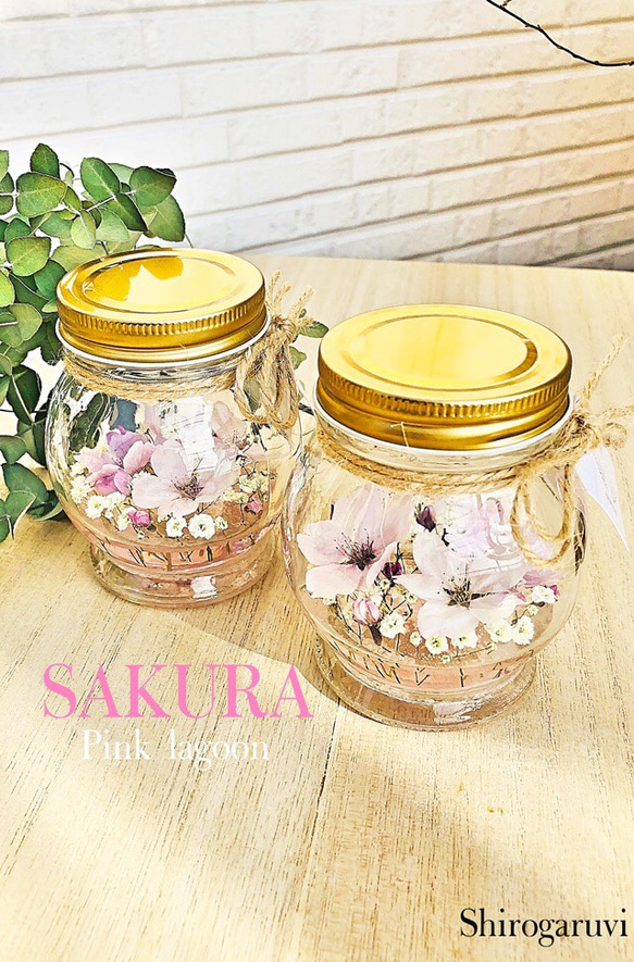 SAKURA …snow pink lagoon【本物の桜】受注製作 1枚目の画像