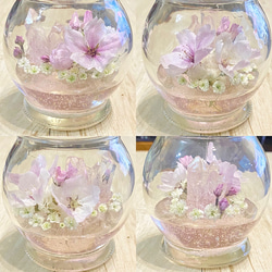 Special Crystal… Cherry blossom 水晶と本物の桜【受注製作】 5枚目の画像