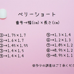 ネイルチップNo.1 3枚目の画像