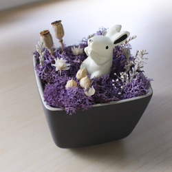 魔幻森林-小兔子 《充滿想像力的乾燥花精靈世界》禮物 居家擺飾 辦公桌小物 第1張的照片