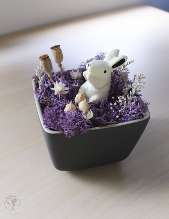 魔幻森林-小兔子 《充滿想像力的乾燥花精靈世界》禮物 居家擺飾 辦公桌小物 第1張的照片