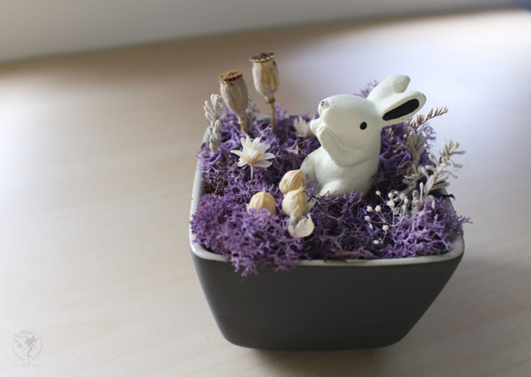 魔幻森林-小兔子 《充滿想像力的乾燥花精靈世界》禮物 居家擺飾 辦公桌小物 第2張的照片