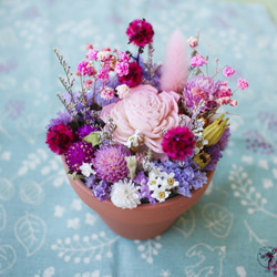 粉彩花園 《朵朵粉紅》禮物 居家擺飾 辦公桌小物 第1張的照片