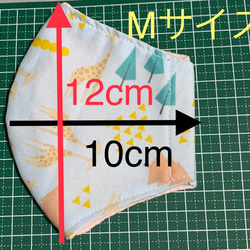 タータンチェック　幼児用布マスク2枚セット 6枚目の画像