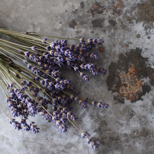 ミシャ　　ラベンダードライフラワー　1300本 ミシャ ラベンダードライフラワー 1300本 2025年最新】Yahoo