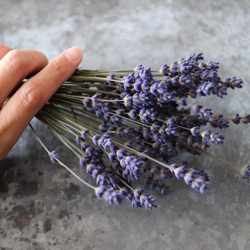 送料無料】ラベンダー ＊ 自家製ドライフラワー ドライフラワー F