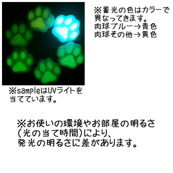 ペットの迷子札♡肉球蓄光タイプ 3枚目の画像