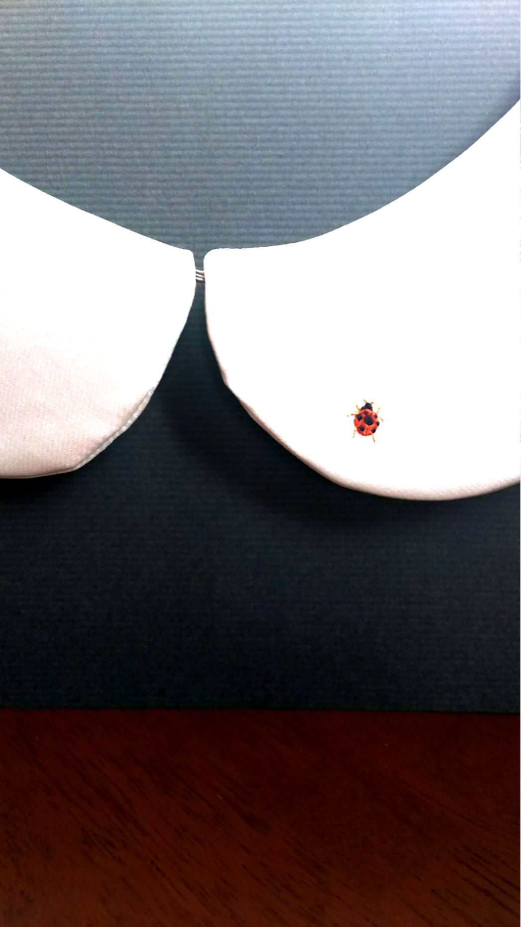 手刺繍  総シルク つけ襟 「てんとう虫」