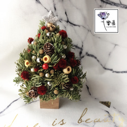 樂愛L’e Love-桌上型迷你聖誕樹 聖誕禮物 交換禮物 第1張的照片
